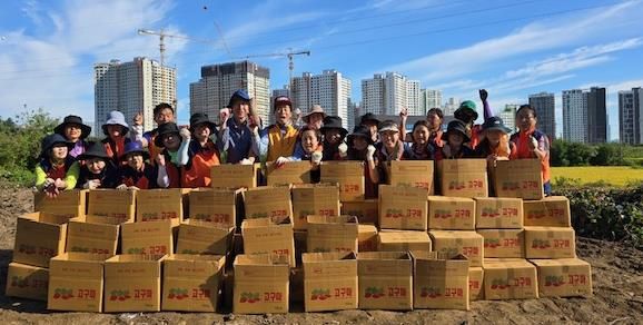 오산시 초평동 통장단협의회 이웃사랑 고구마 수확 봉사