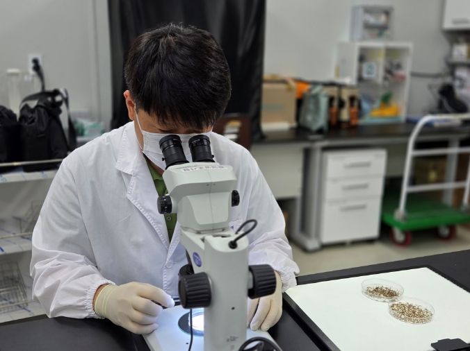 경기도, 일본뇌염 매개모기 ‘작은빨간집모기’ 올해 첫 발견… 작년보다 한 달 빨라