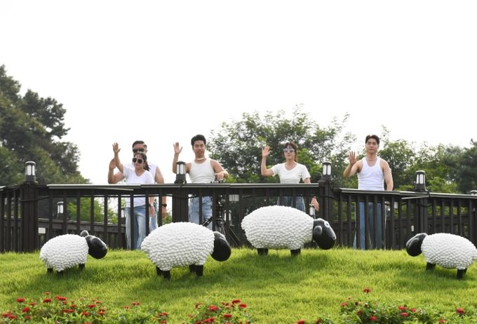 양주시, ‘제7회 천만송이 천일홍 축제’…시민 참여형 새 홍보 모델 제시