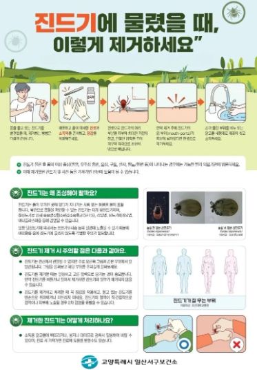진드기 물렸을 때 제거 방법 안내문