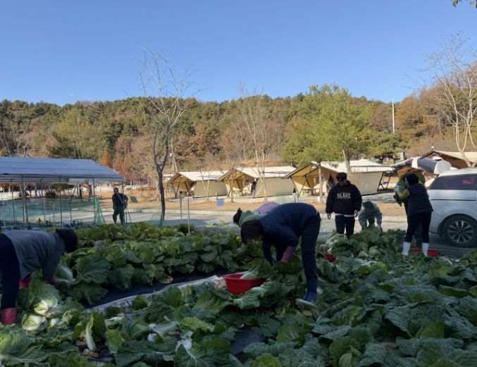 부여군시설관리공단, 사랑의 김장용 배추 기부