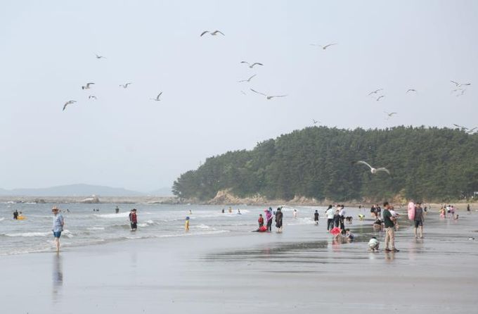 서천군 춘장대해수욕장, ‘올해의 우수해수욕장’ 선정
