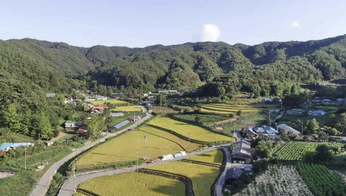 신양면 차동리 전경