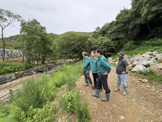 서산시가 지난 7월 집중호우로 인한 산림 피해를 확인하기 위해 현장을 점검하는 모습