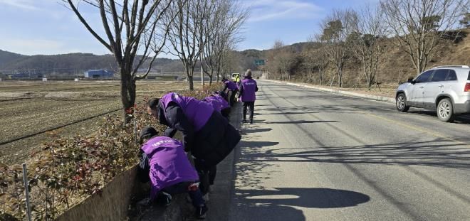 홍가시나무 월동 준비를 하는 대술면 주민자치위원회 위원들
