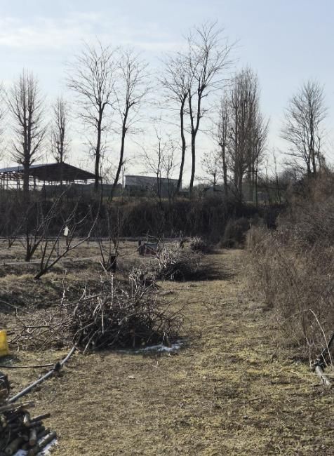 영농부산물 파쇄 작업 모습