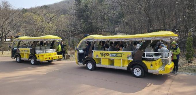 맹꽁이 에코셔틀