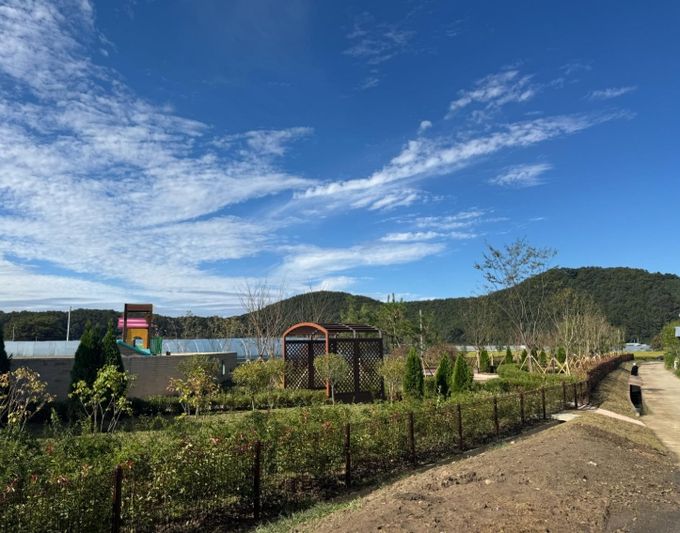 양촌어린이집 나눔숲, 녹색자금지원사업 전국 ‘최우수’