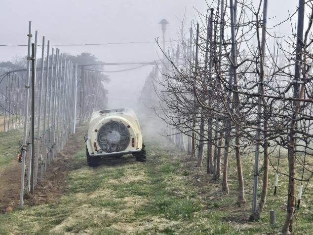 방제 약제 살포 현장