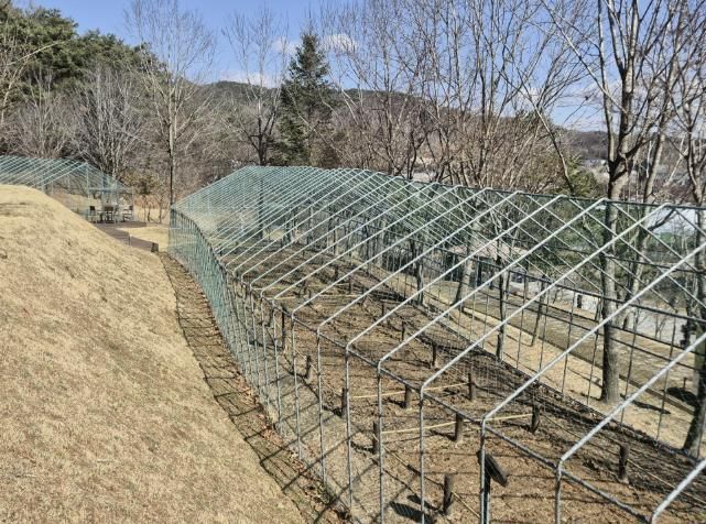 삽티공원 텃밭 모습