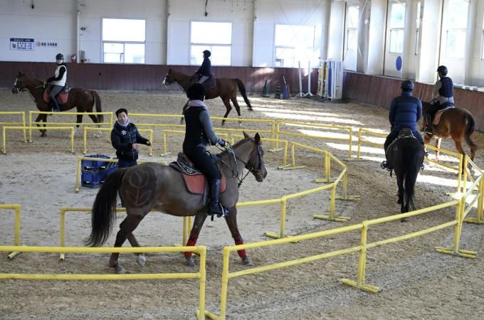 홍성군, 관내 초·중학생 승마 지원한다
