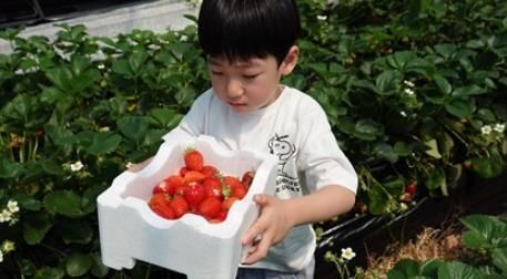 서울농장 농촌체험 프로그램