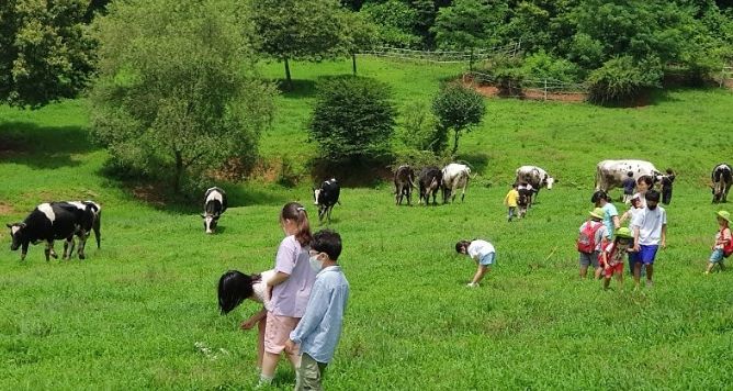 깨끗한 축산농장 지정 농장