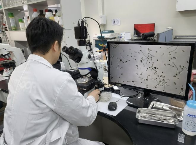 꽃가루 발아율 검정