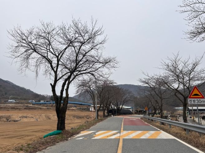 군북면 자징뱅이길 및 산꽃로