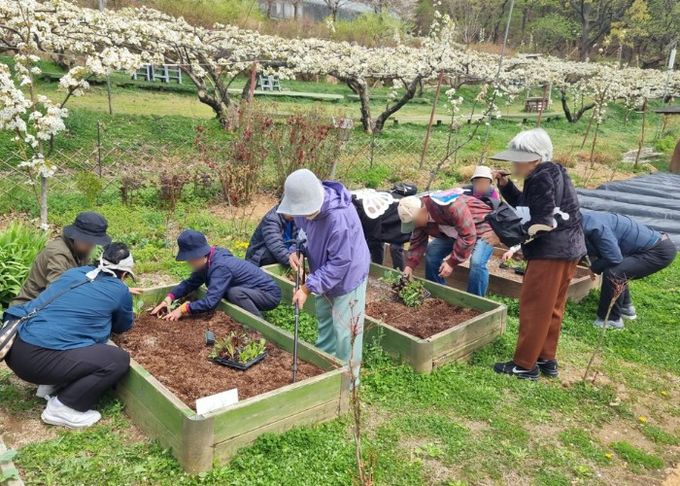 남양주시, 치유농업으로 ‘함께 행복한 고품격 복지’실현 나서