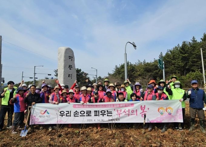 지난 14일 부석면 마룡리 271-12번지 일원에서 진행된 모종 식재 행사